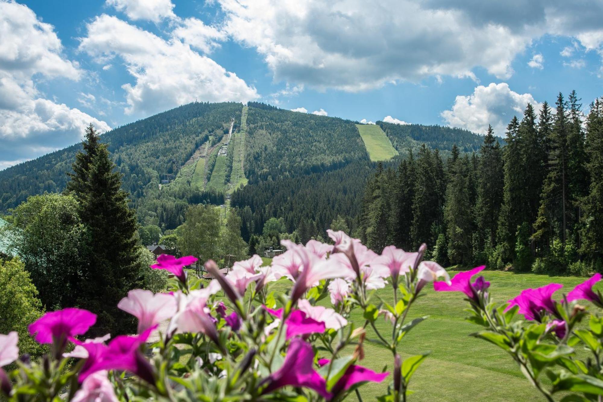 Wellness Hotel Sedy Vlk Harrachov Exterior foto